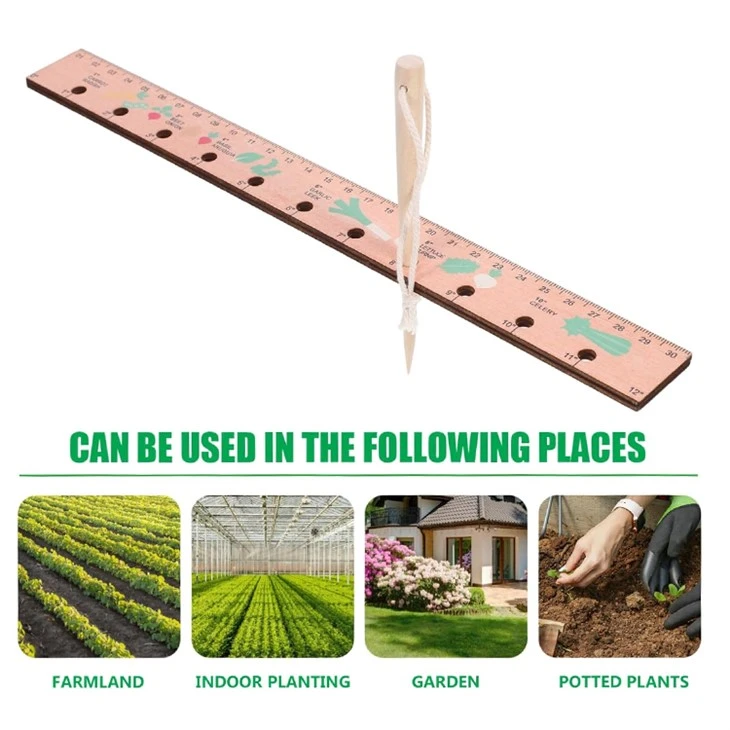 wooden seed ruler